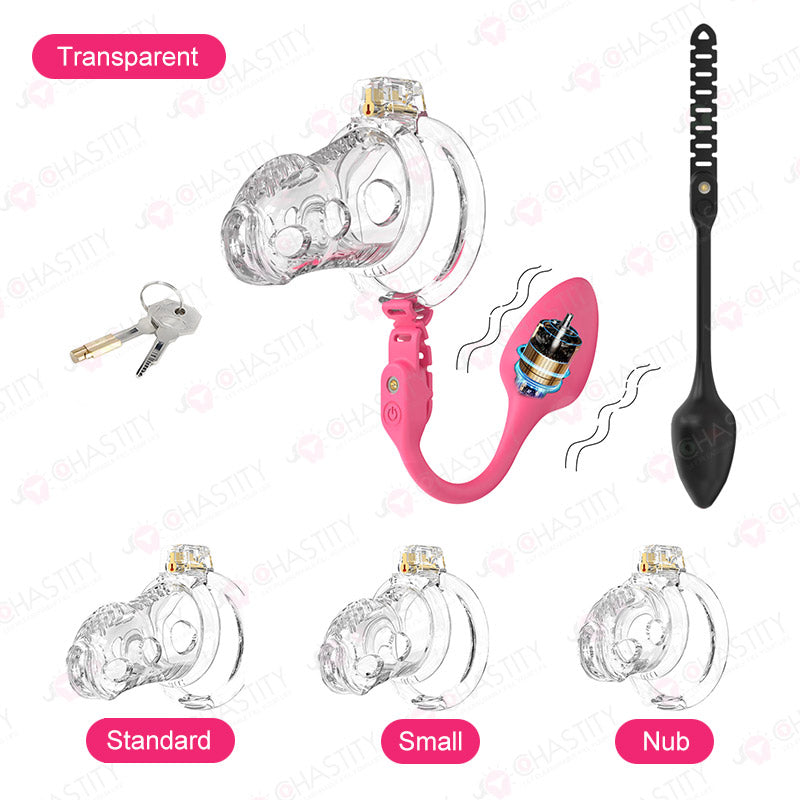 Male Slave In Cage & Remote Controlled Butt Plug