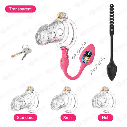 Male Slave In Cage & Remote Controlled Butt Plug