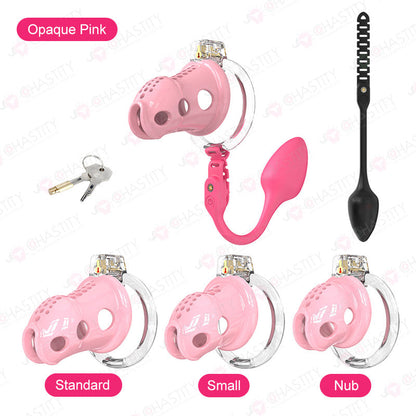 Male Slave In Cage & Remote Controlled Butt Plug