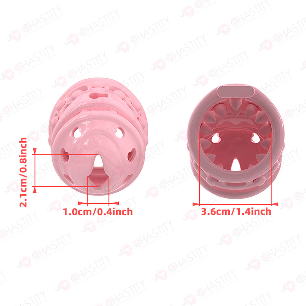Multi-Mode Switching Massage In Chastity