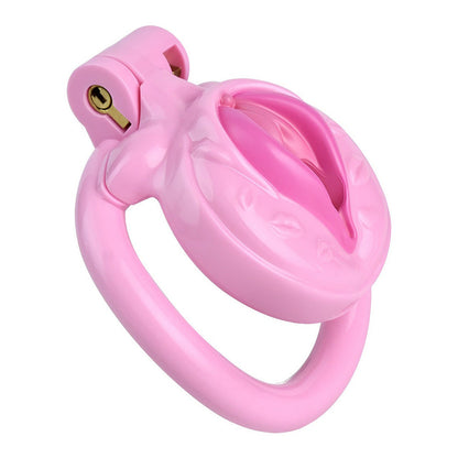Realistic Pussy Chastity Cage For Sissy