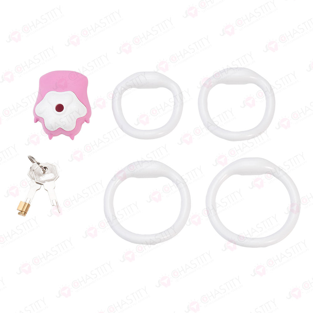 Pet Paw Discreet Chastity Cage