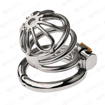 Petal Hinged Chastity Cage