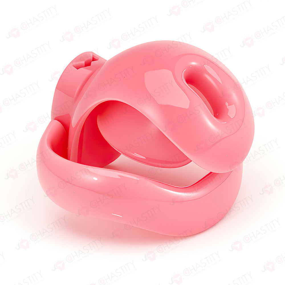 Pin-Lock Forever Chastity Cage