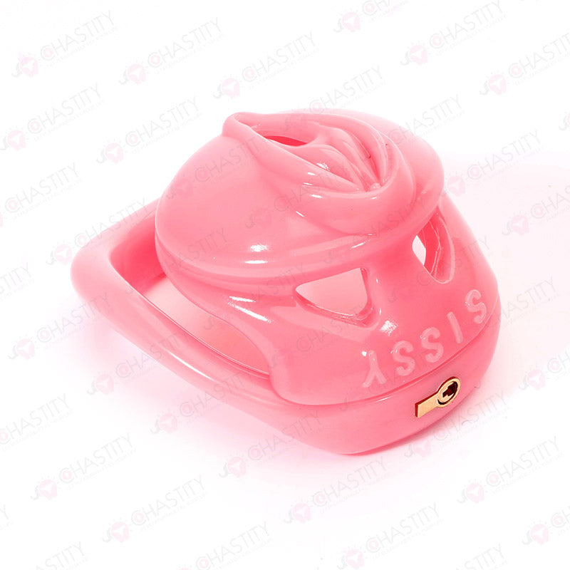 Pink Vulva Chastity Cage (Small Concealed Lock)