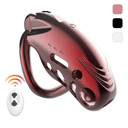 Remote Control Cock Vibrator