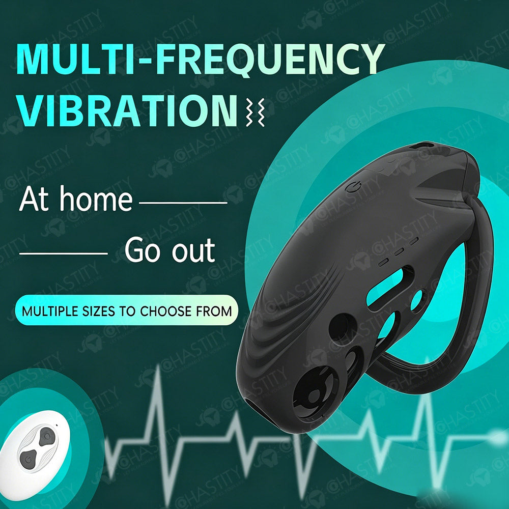 Remote Control Cock Vibrator