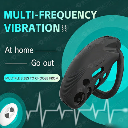 Remote Control Cock Vibrator