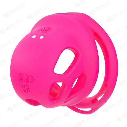 Remote-Controlled Vibrating Penis Cage