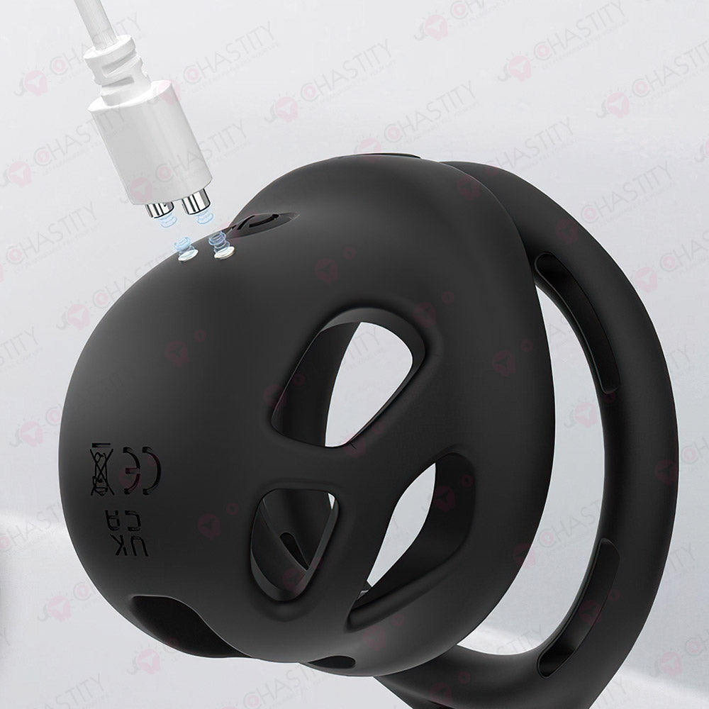 Remote-Controlled Vibrating Penis Cage