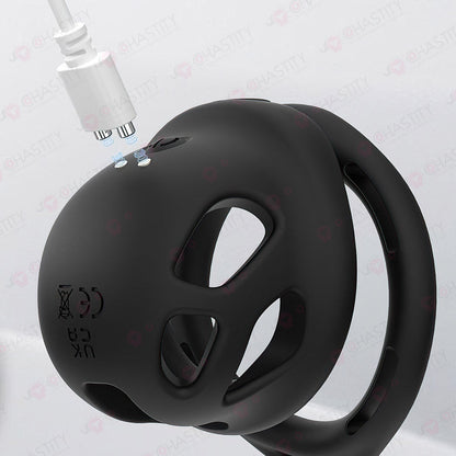 Remote-Controlled Vibrating Penis Cage