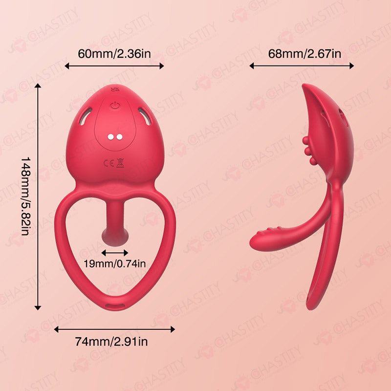 Remote Vibrating Thong (APP Control Or Remote Control)