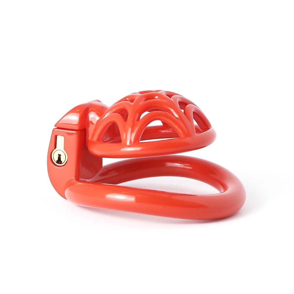 Small Lightweight Spidernet Chastity Cage