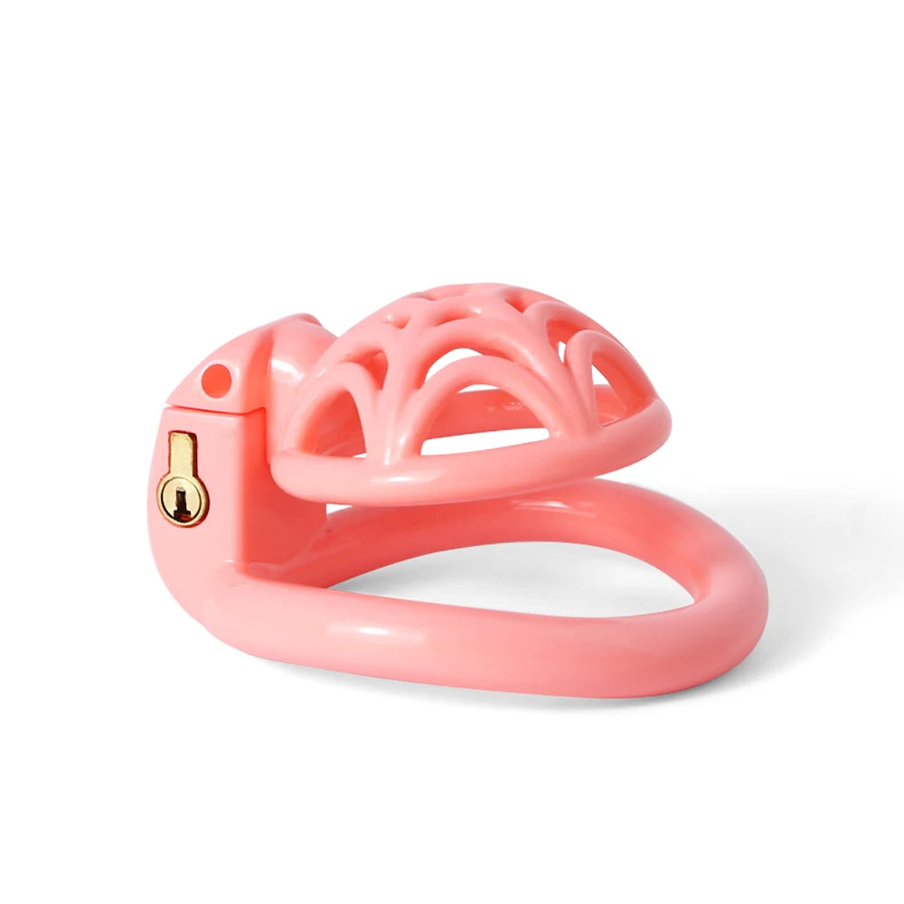 Small Lightweight Spidernet Chastity Cage