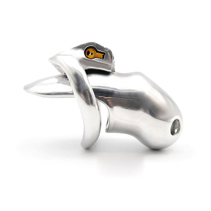 Holy Trainer Chastity Cage