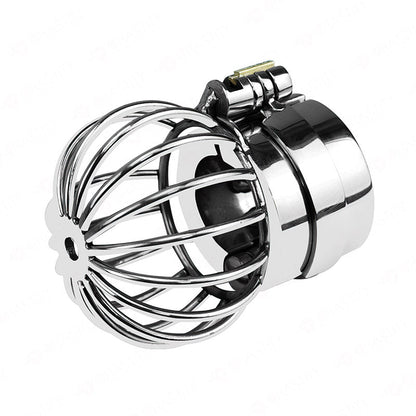 Testicle Cage & Penis Cage (With Spikes)