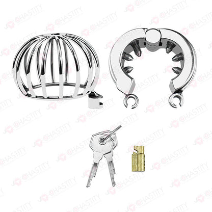 Testicle Cage & Penis Cage (With Spikes)