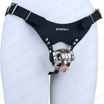 The Guardian Chastity Cage