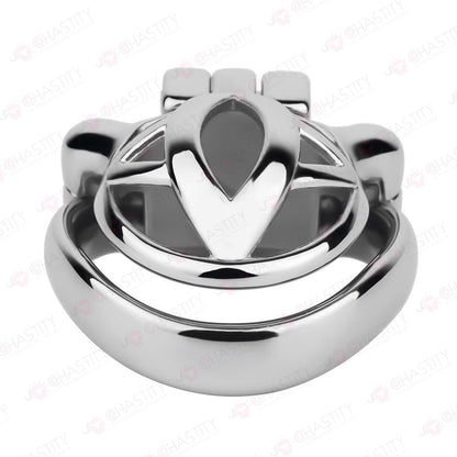 The Guardian Chastity Cage