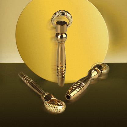 Training Urethral Plugs Set