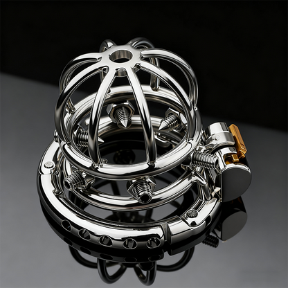 Adjustable Chastity Cage With Spikes Removable - 7