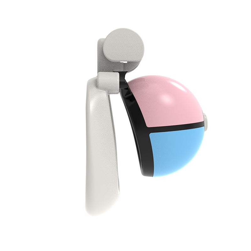 Little Dreamer Chastity Cage