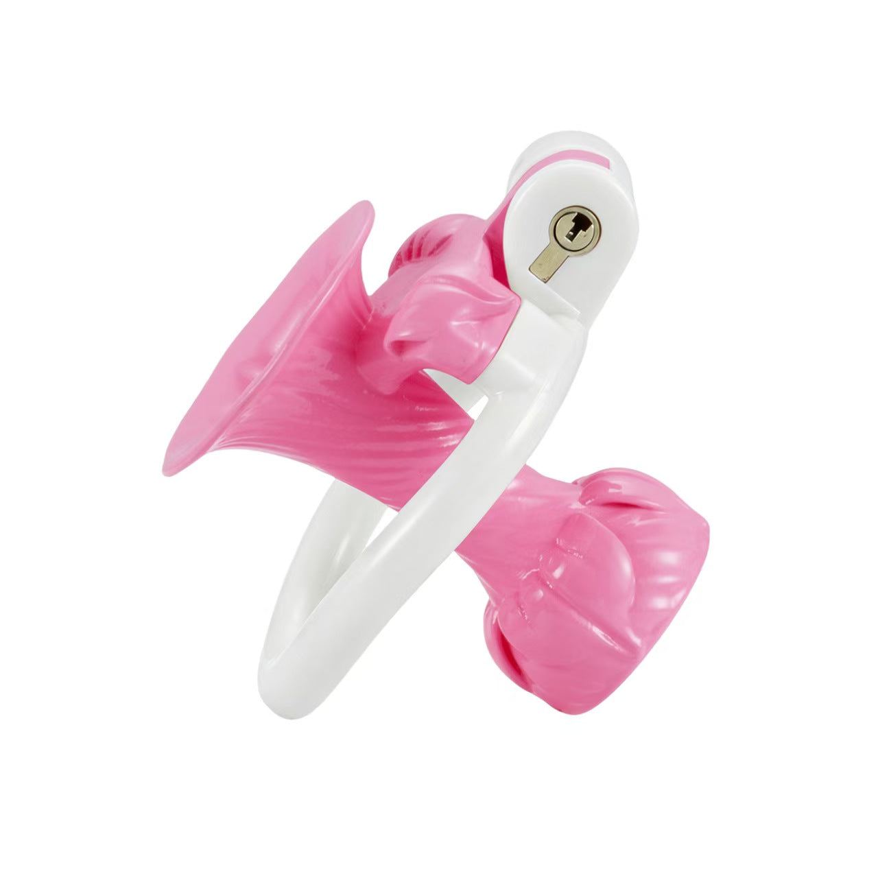 Inverted Chastity Cage Device