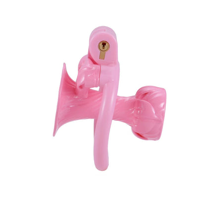 Inverted Chastity Cage Device