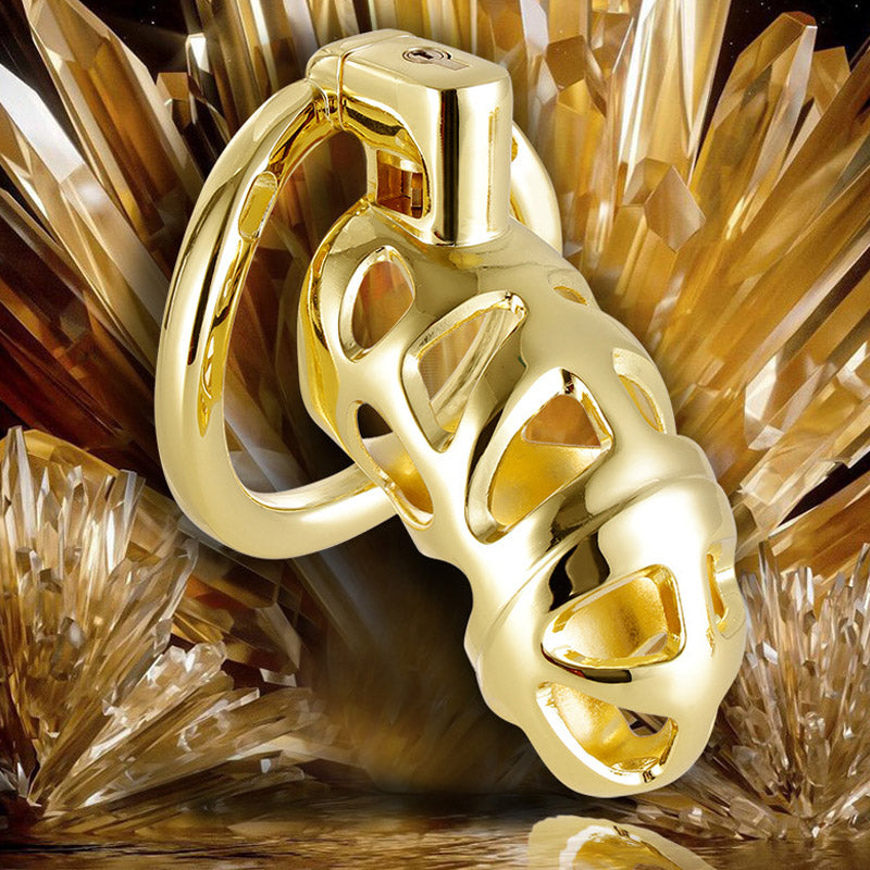 Luxury Chastity Cage (3 Rings)