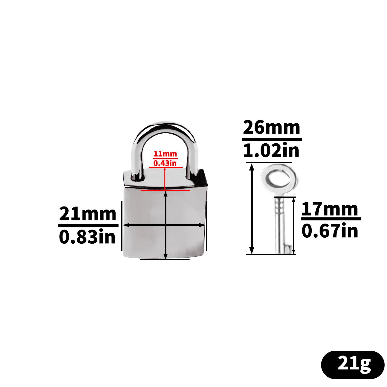 Sexy Shell Chastity Belt with Anal Plug and Urethral Catheter