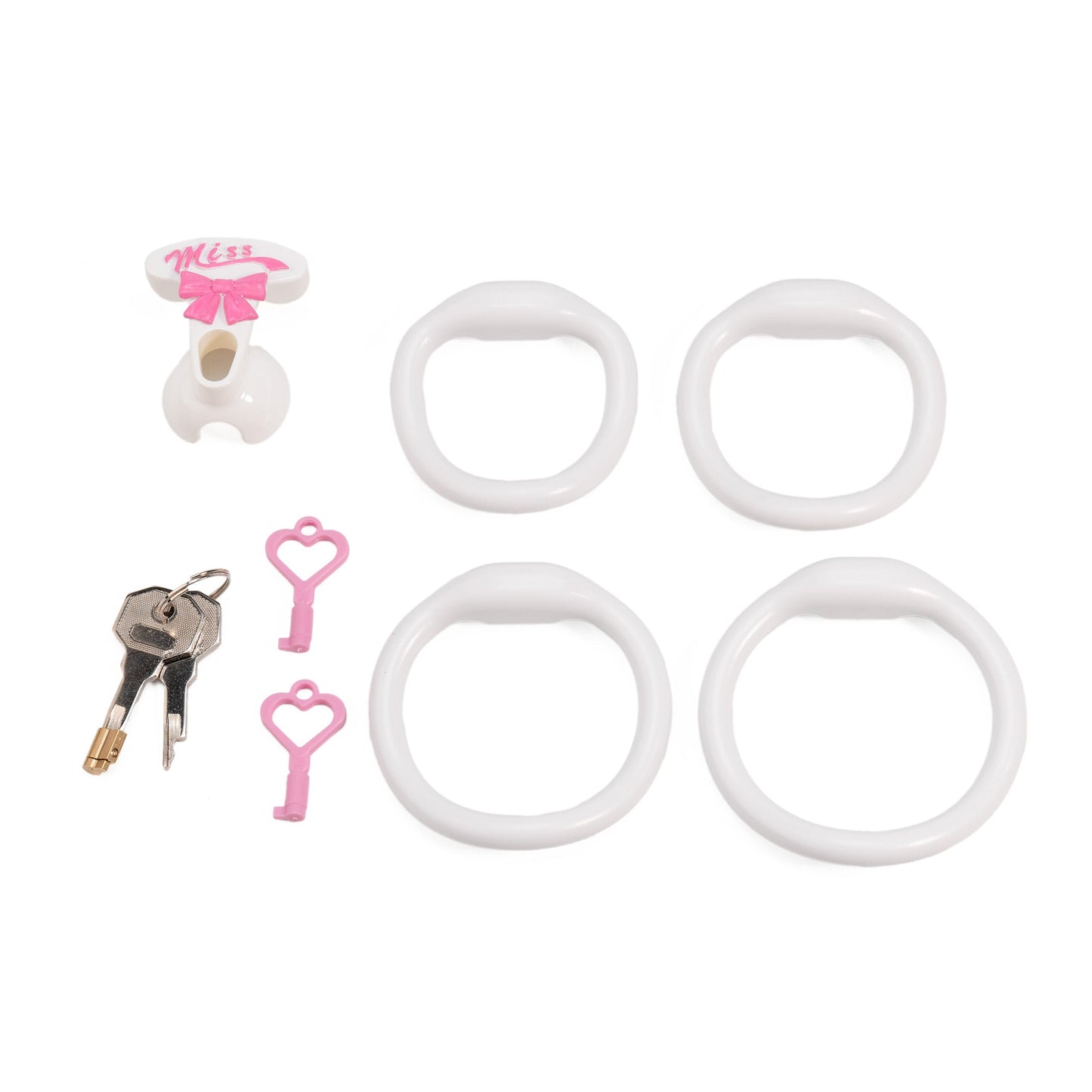Miss Joyce Celebration Cage – Inverted Chastity
