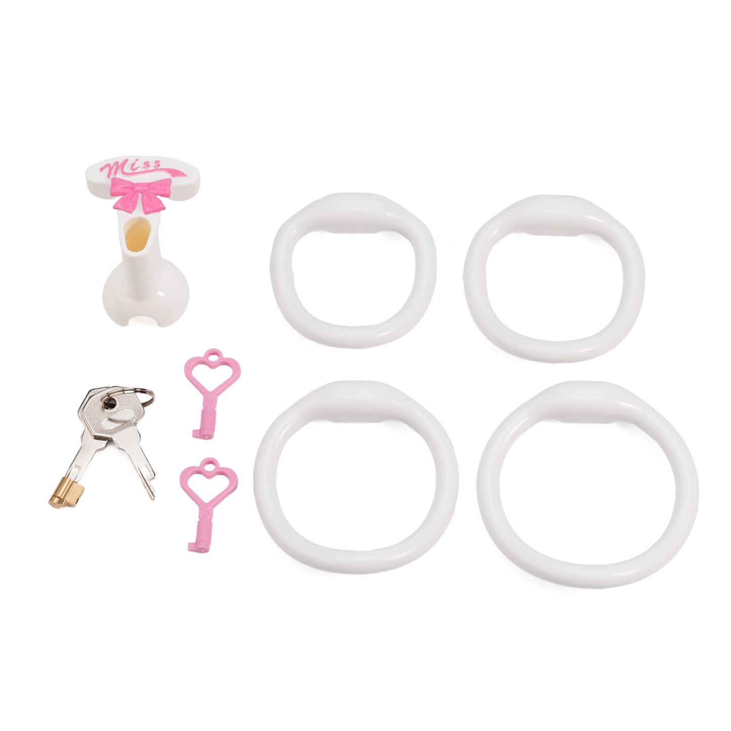 Miss Joyce Celebration Cage – Inverted Chastity