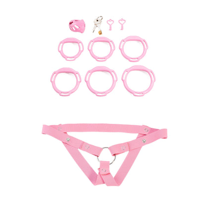 Oval ventilated cage configuration 13 and included accessories