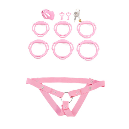 Oval ventilated cage configuration 14 and included accessories