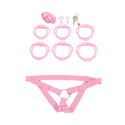 Oval ventilated cage configuration 15 and included accessories
