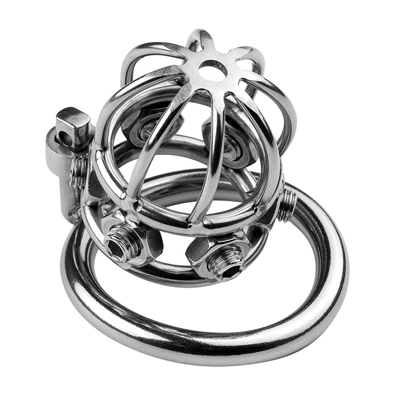 Painful Chastity Cage (3 Rings)