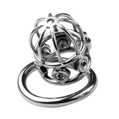 Painful Chastity Cage (3 Rings)