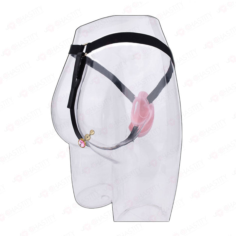 Pussy Cock Cage With Wearable Butt Plug