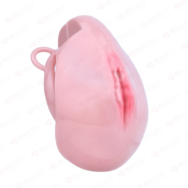 Pussy Cock Cage With Wearable Butt Plug