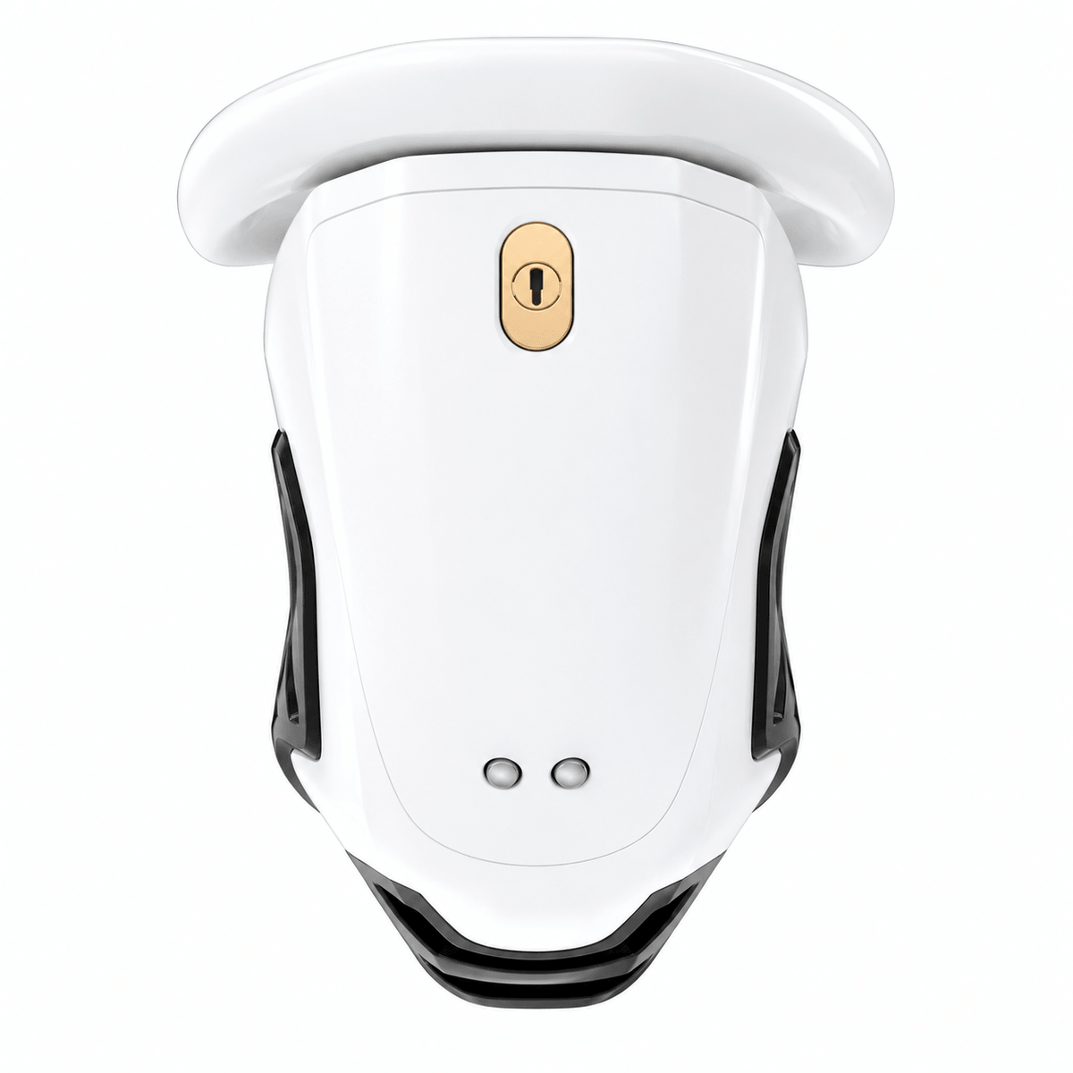 QIUI ThrillCage App-Controlled E-Stim Chastity Cage