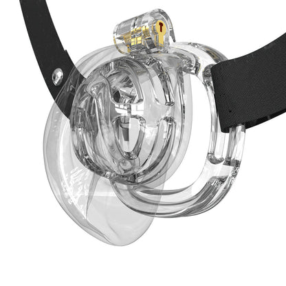 Sissies in Chastity Bondage
