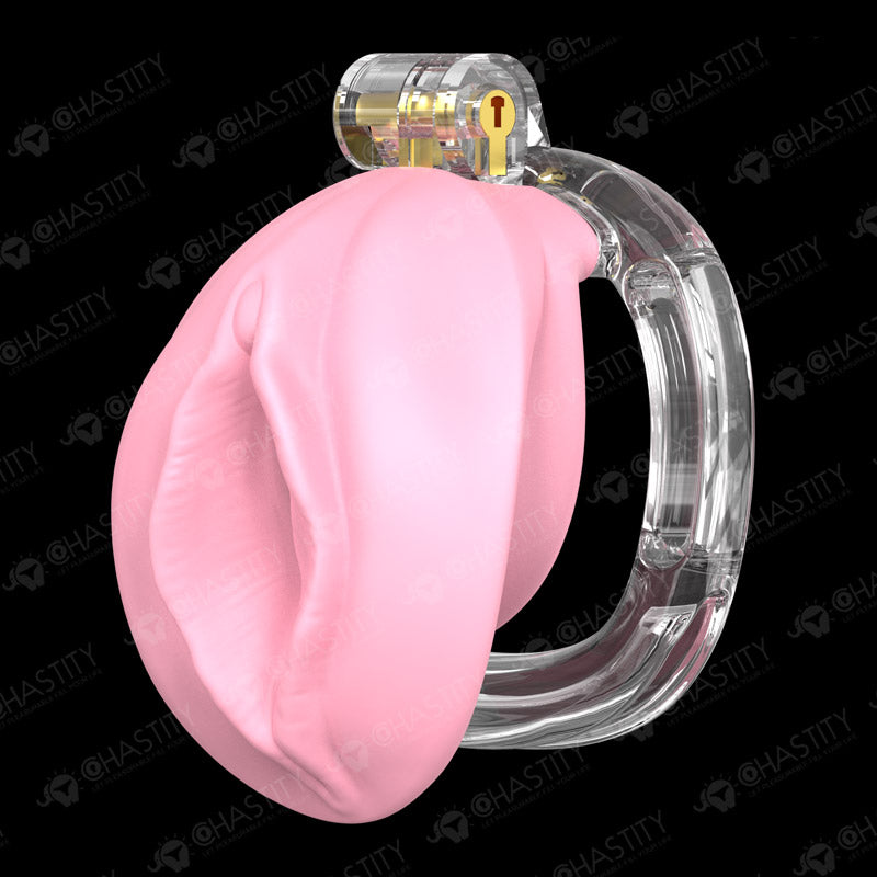 Sissies in Chastity Bondage