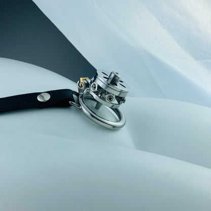 Slave Chastity Cage