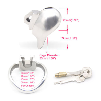 Holy Trainer Chastity Cage