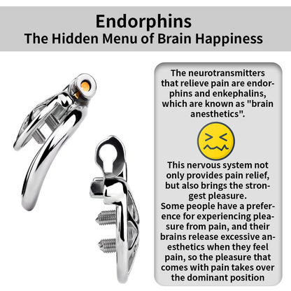 Spiked Flat Chastity Cage with Silicone or Metal Catheter